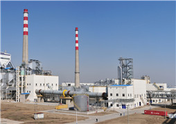 江蘇王子製紙有限公司新建年產80萬噸版紙項目年產71.4萬噸漂白化學闊葉（yè）木漿生產線及其配套工程項目