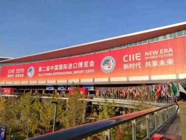 食色短视频成人製造閃耀（yào）第二屆進博會